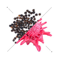 Composizione di grani di pepe nero e fiore rosa su fondo bianco