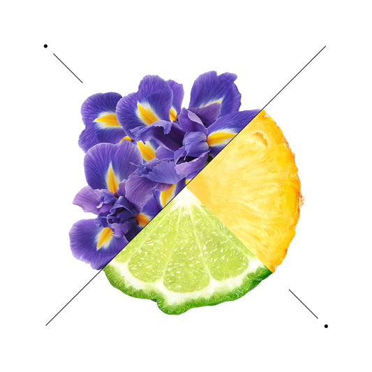 Composizione di iris viola, ananas e agrume verde su fondo bianco