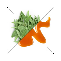 Composizione di foglie di salvia e caramello su fondo bianco
