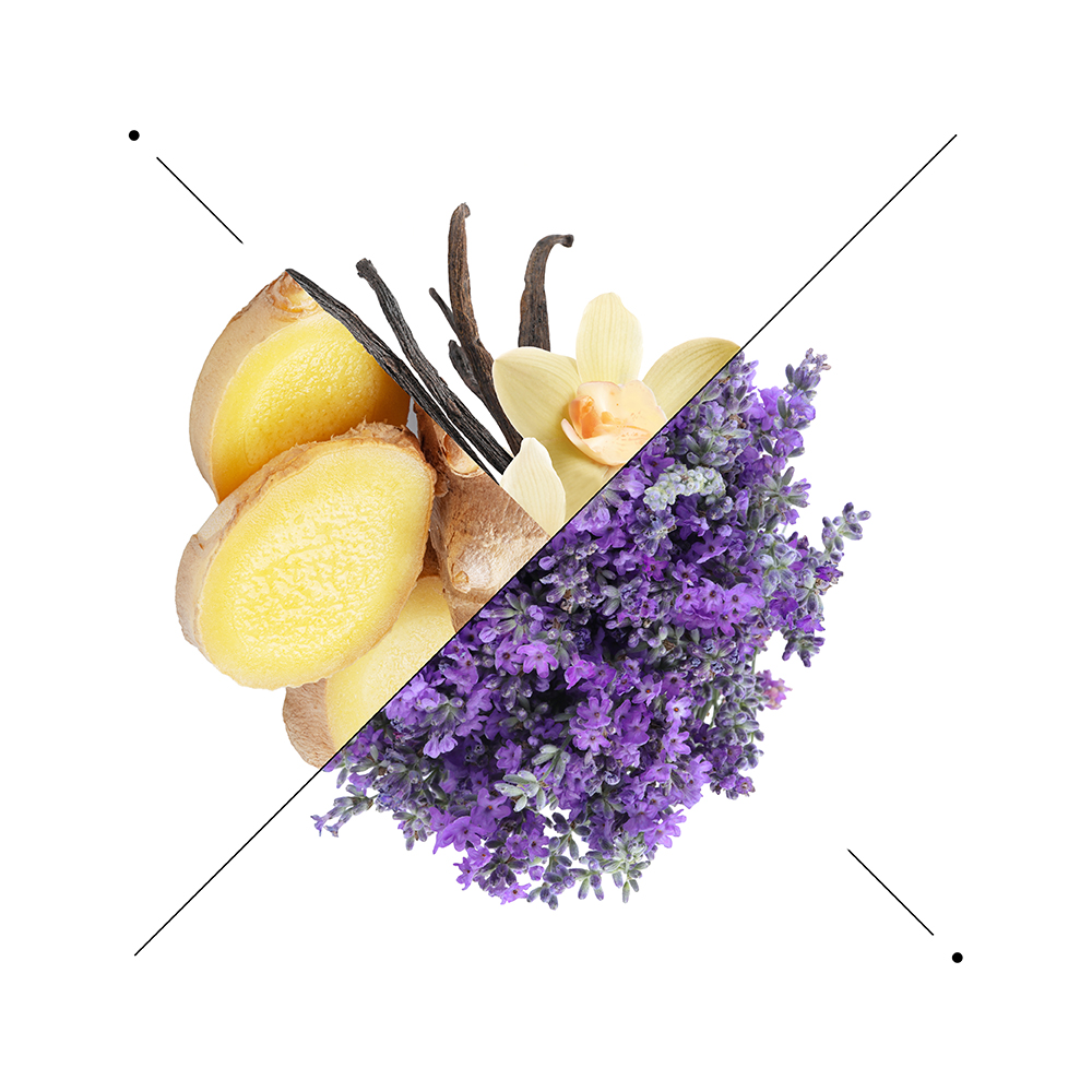 Vaniglia, zenzero e lavanda, note olfattive del profumo ESSENS W208