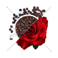 Immagine evocativa delle note di ESSENS M907 con rosa rossa e chicchi di caffè