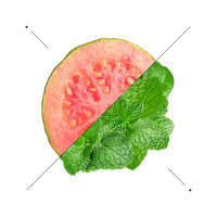 Composizione di guava rosa e foglie di menta su fondo bianco