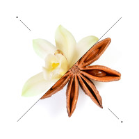 Immagine evocativa delle note di ESSENS M905 con anice stellato e fiore chiaro